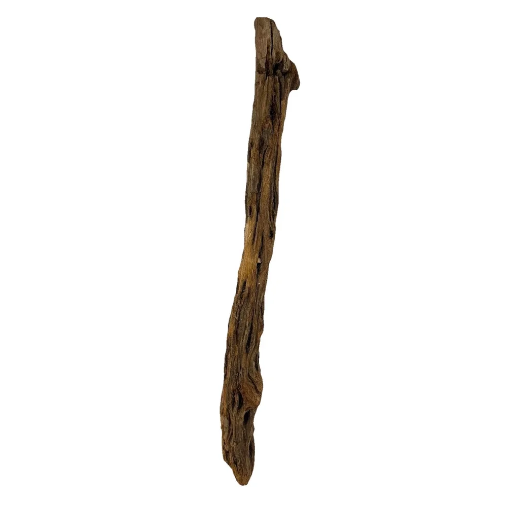 Tall California Driftwood Stick with Deep Grain & Natural Curves – Coastal Decor